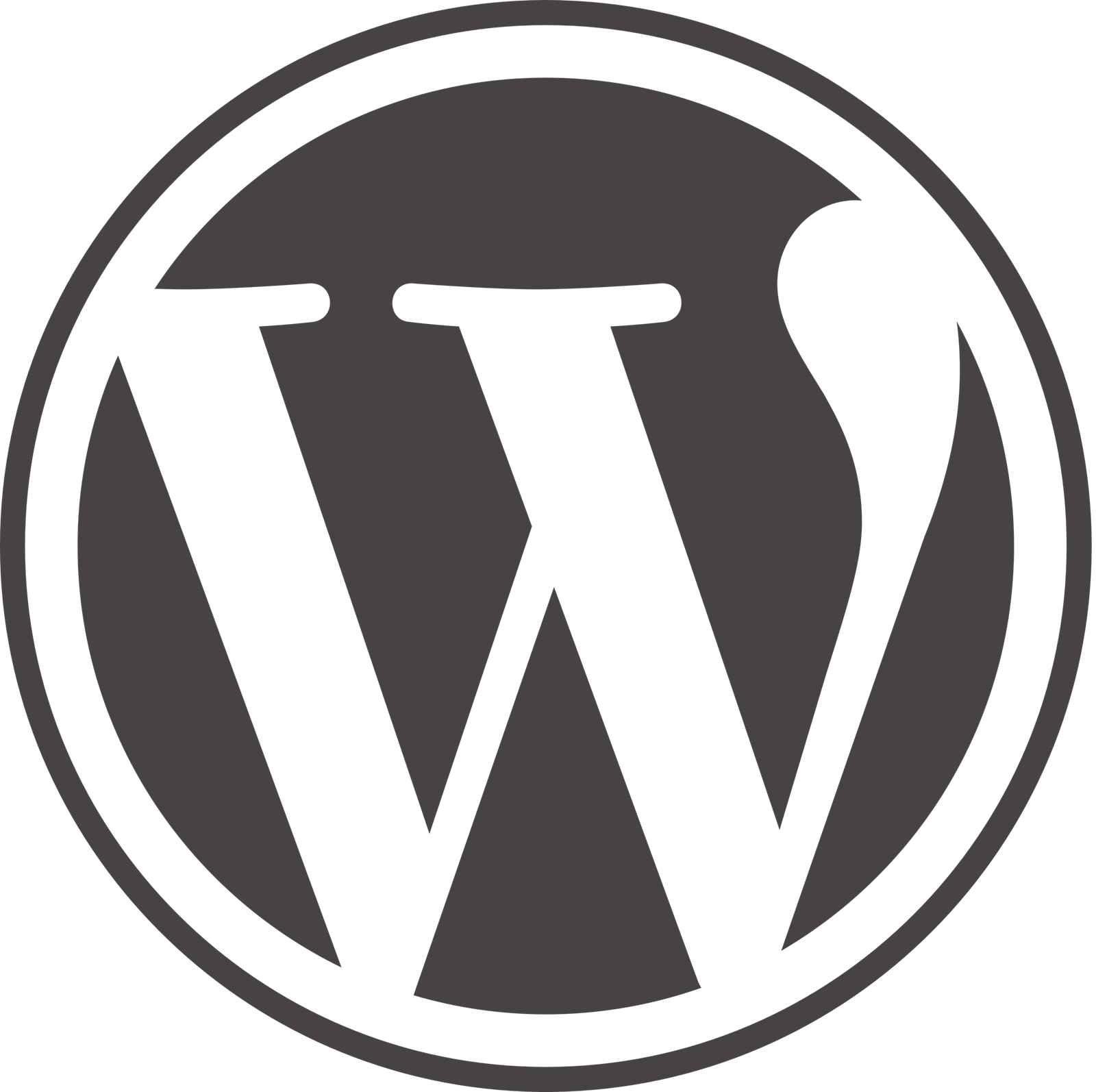 WordPress icon